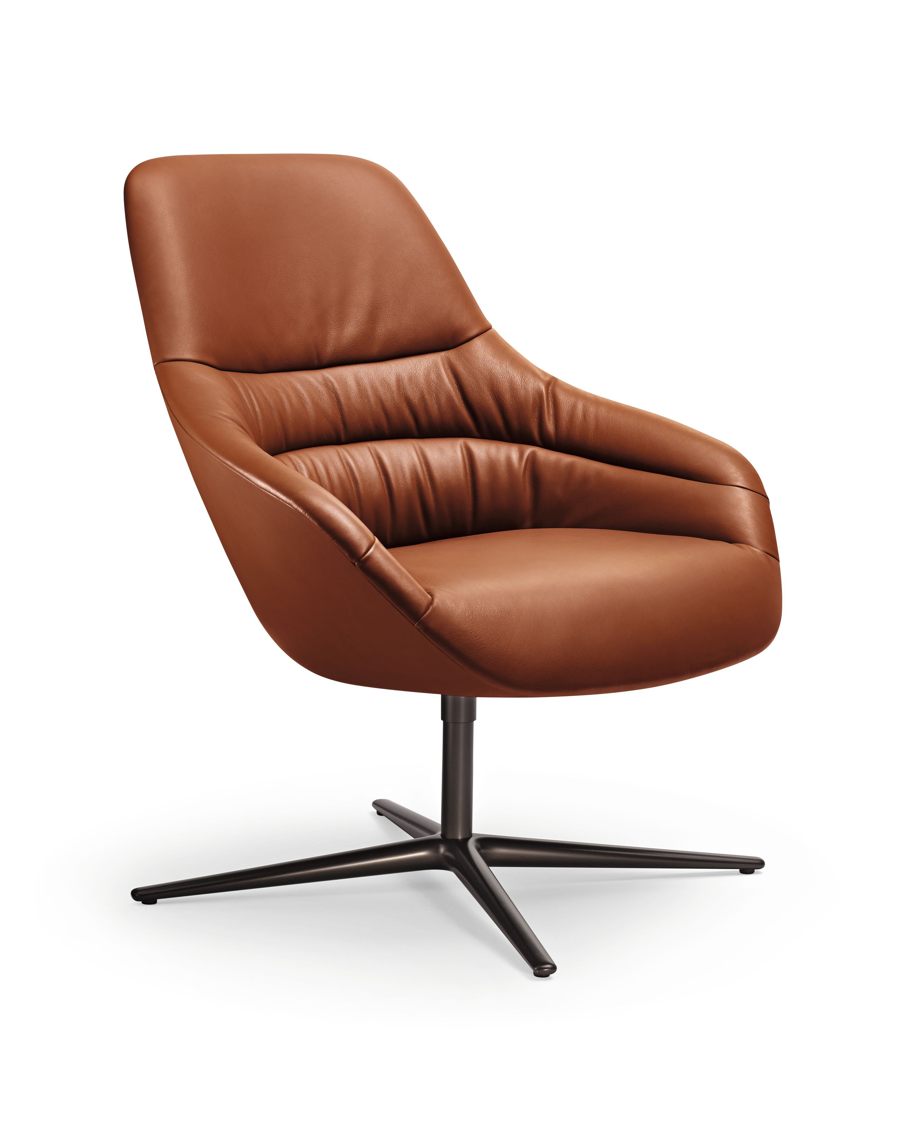 Kyo Lounge Armchair | Walter Knoll