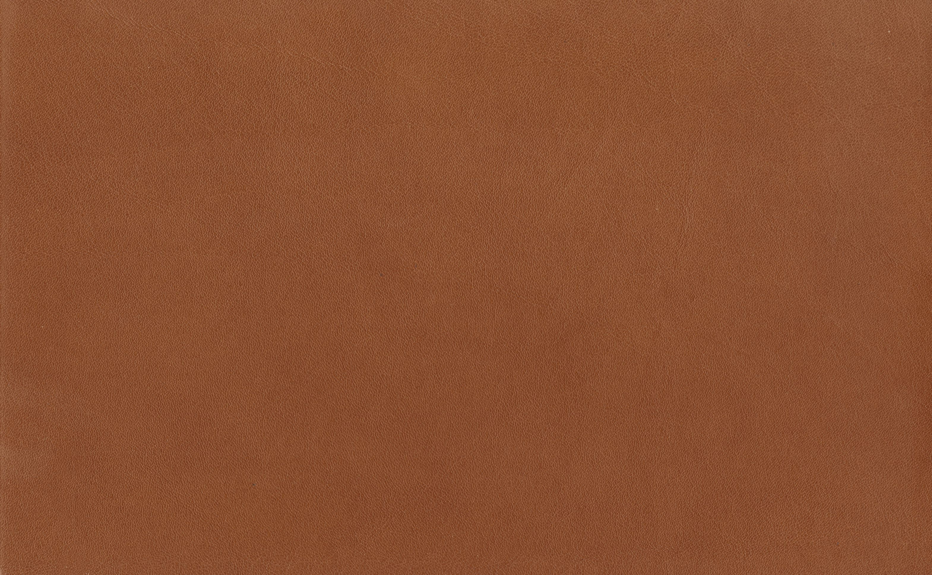 Elen - 1401 tan | Walter Knoll