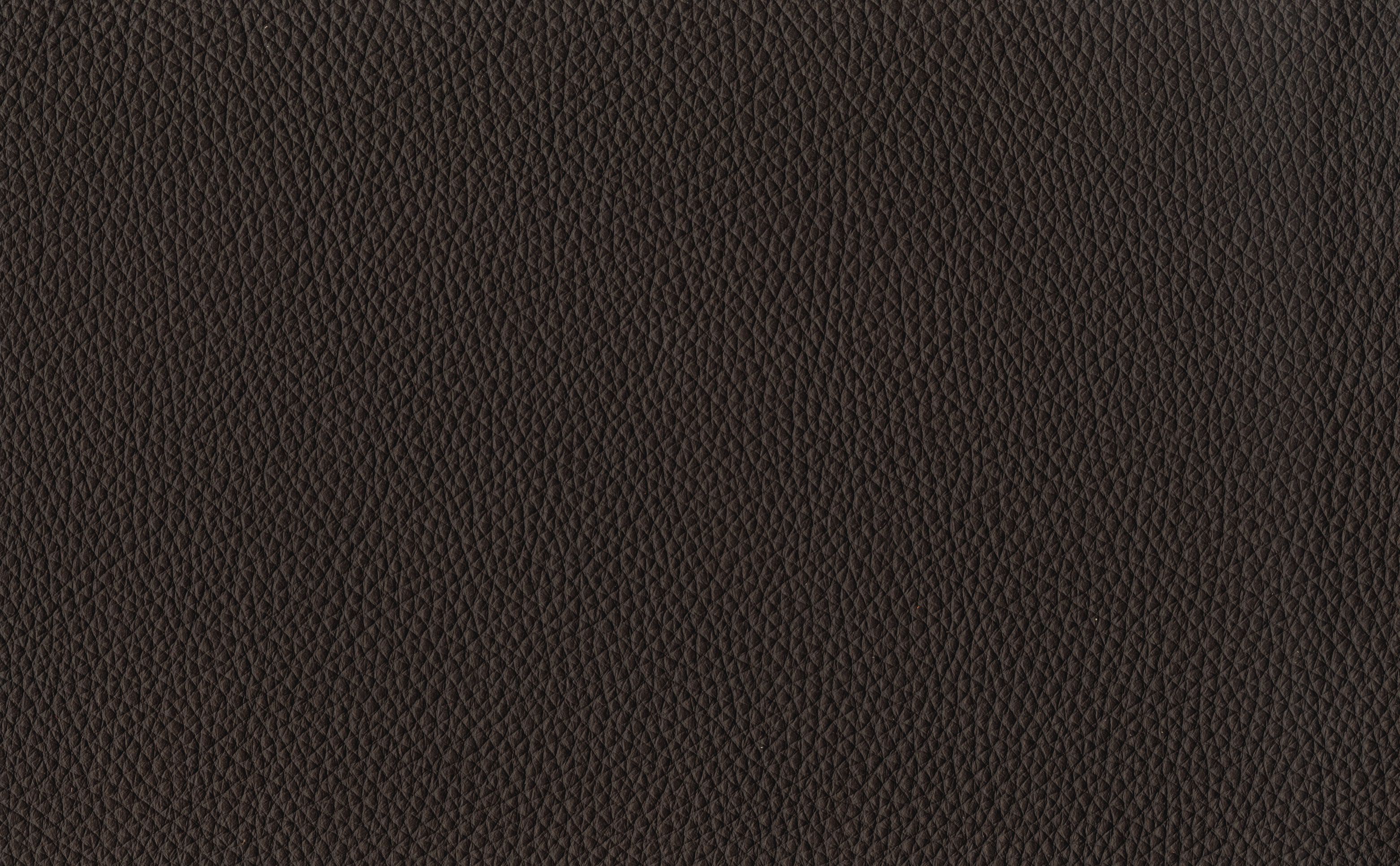 その他 TEN MOLE BROWN L ZX170 Pine - Rich Wood Collection ⋆ Bodaq® by Hyundai®