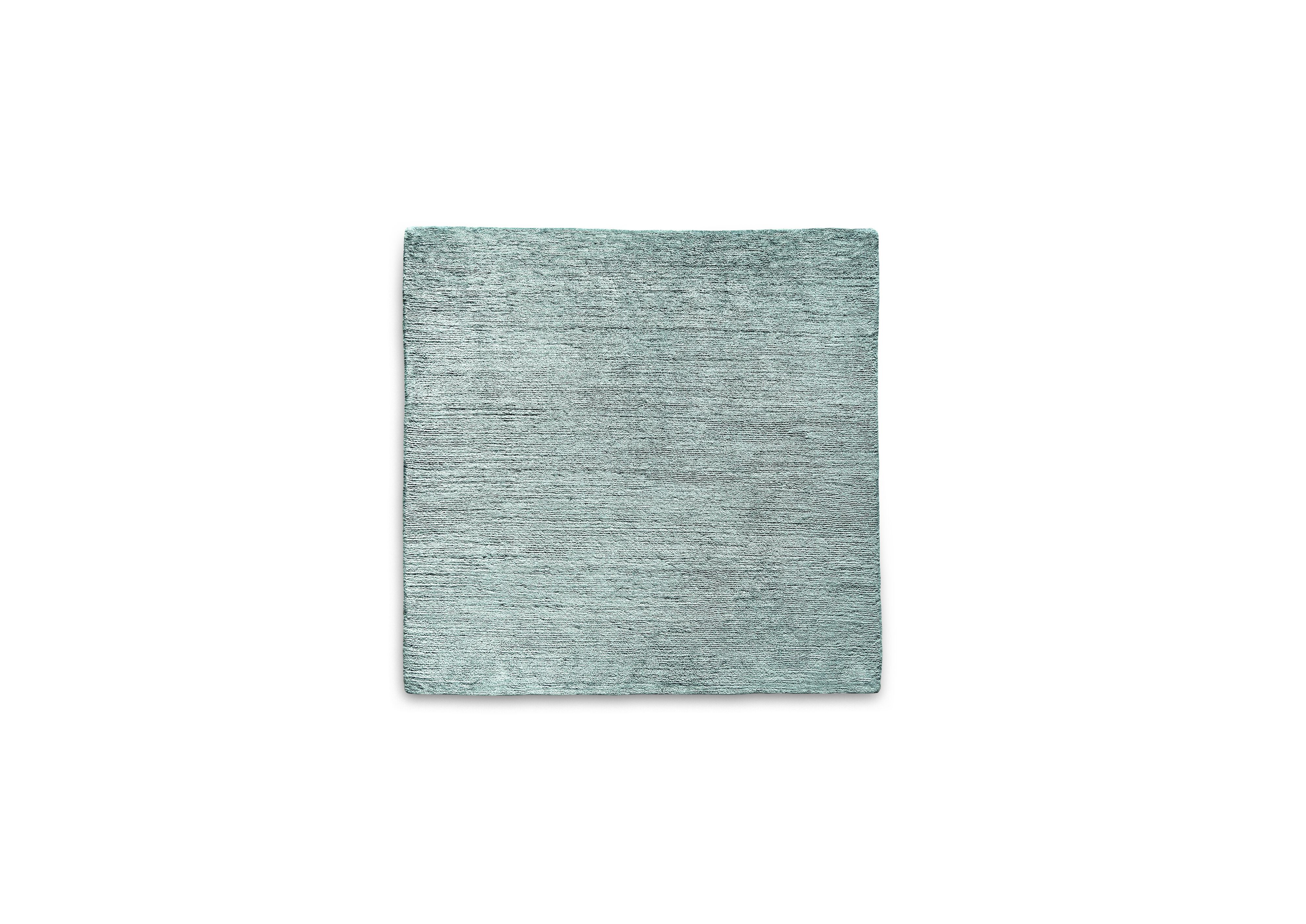 アクセサリー Russet Burbank Burger Rug (Green) 2025年最新】russet burbank burgerの人気アイテム - メルカリ