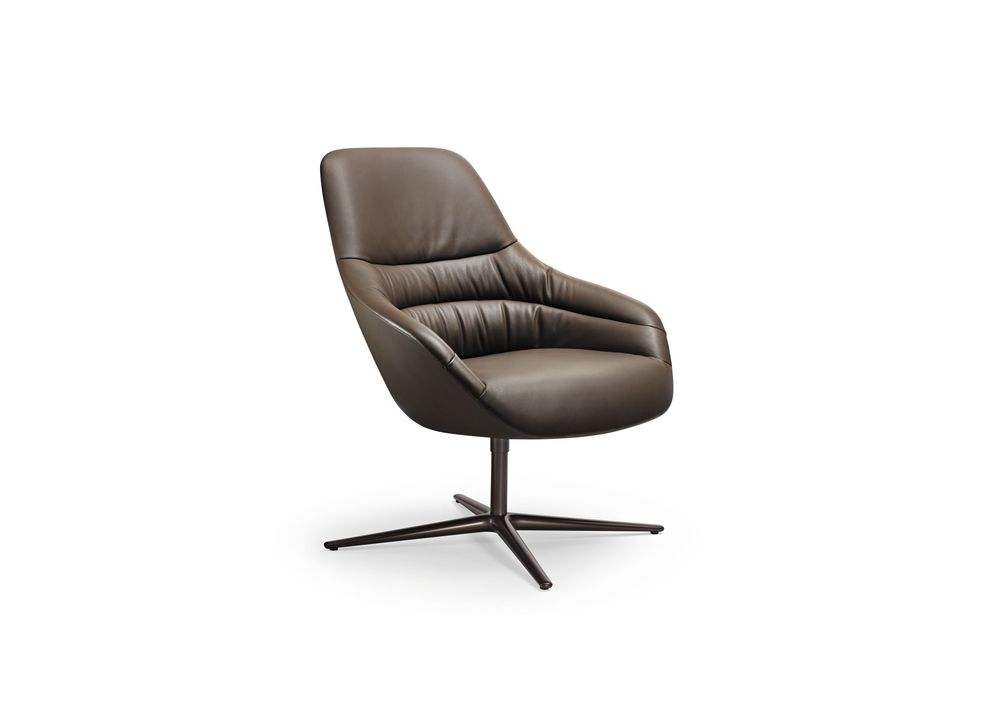 Kyo Lounge Armchair | Walter Knoll