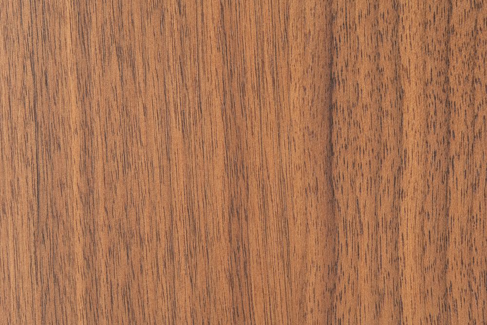 Veneers - .99vl nutwood with sapwood incl. | Walter Knoll